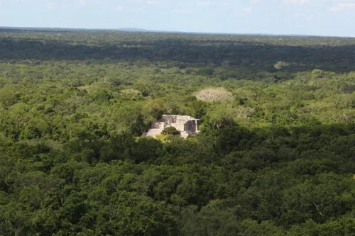 Calakmul-Ausblick von der höchsten Pyramide.JPG