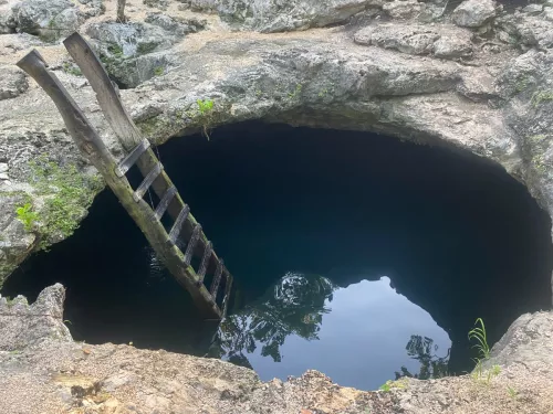 Cenote Calavera Tulum.JPG