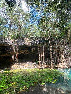 Cenote X`Batun.JPG