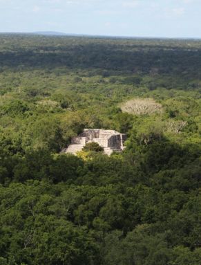 Calakmul-Ausblick von der höchsten Pyramide.JPG