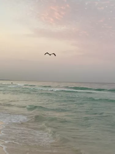 Tulum-Strand mit Pelican.JPG